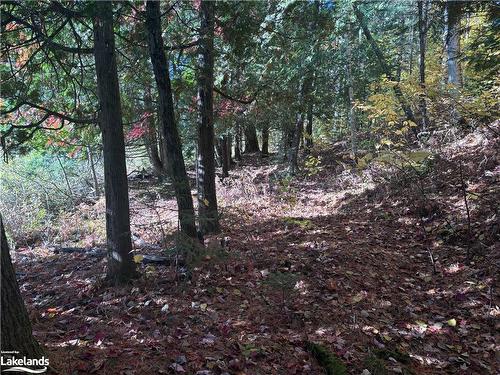 Lot 6 N/A, Haliburton, ON 