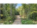 Lot 8 N/A, Haliburton, ON 