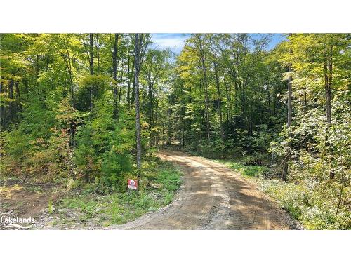 Lot 11 N/A, Haliburton, ON 