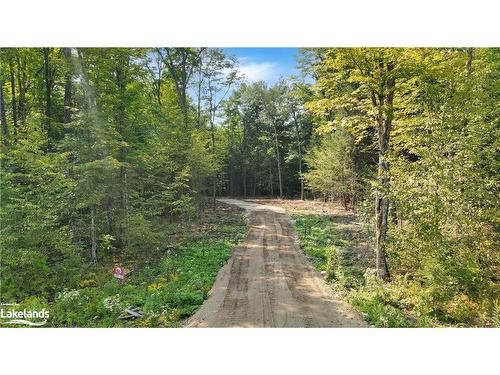 Lot 12 N/A, Haliburton, ON 