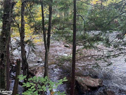 Lot 13 N/A, Haliburton, ON 