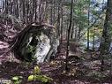 Lot 15 N/A, Haliburton, ON 