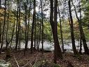 Lot 16 N/A, Haliburton, ON 