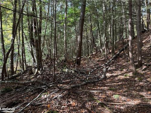 Lot 16 N/A, Haliburton, ON 