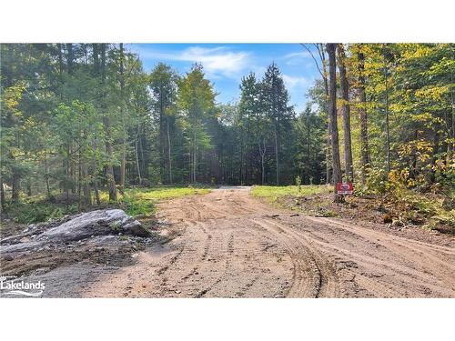 Lot 17 N/A, Haliburton, ON 