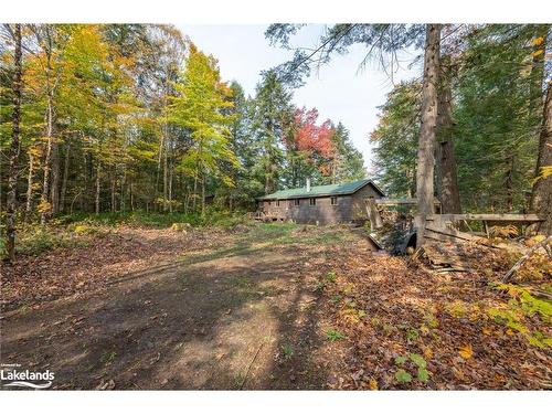 1086 South Toad Lake Road, Lake Of Bays, ON - Outdoor