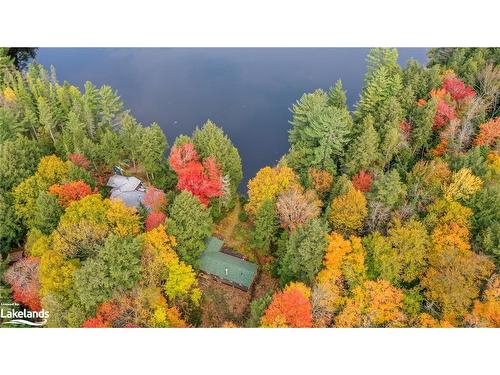 1086 South Toad Lake Road, Lake Of Bays, ON - Outdoor With View