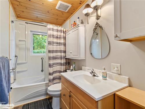 1041 Big Island Road, Bracebridge, ON - Indoor Photo Showing Bathroom