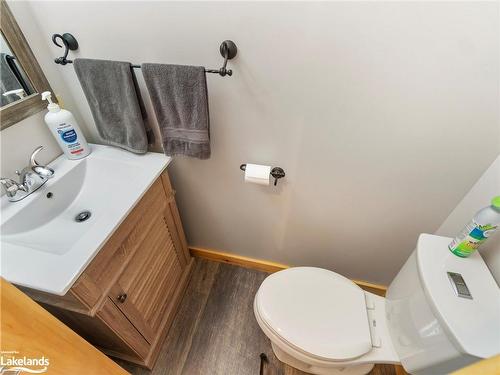 1041 Big Island Road, Bracebridge, ON - Indoor Photo Showing Bathroom