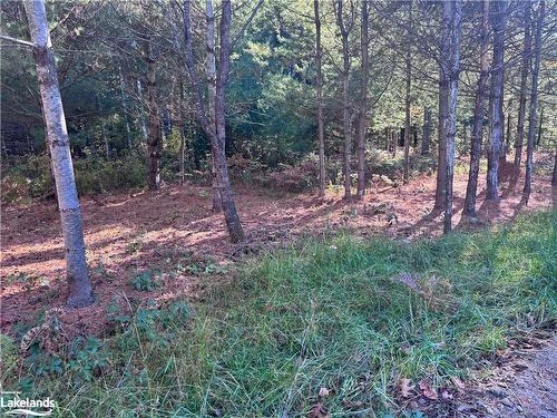 Lot 2 N/A, Haliburton, ON 