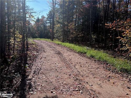 Lot 3 N/A, Haliburton, ON 