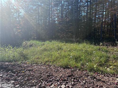 Lot 3 N/A, Haliburton, ON 