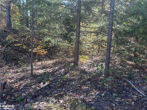 Lot 3 N/A, Haliburton, ON 