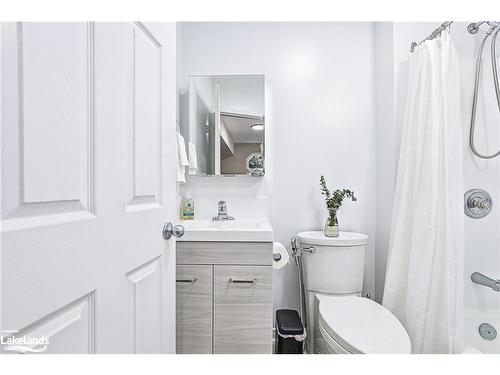 2 Bush Street, Collingwood, ON - Indoor Photo Showing Bathroom