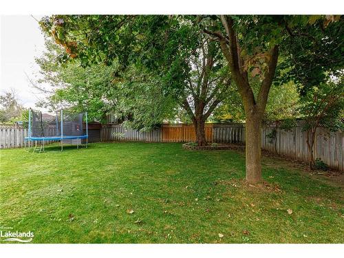 2 Bush Street, Collingwood, ON - Outdoor With Backyard