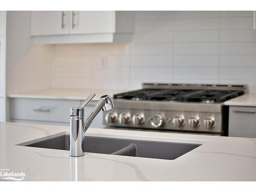 18-117 Sladden Court, Thornbury, ON - Indoor Photo Showing Kitchen With Upgraded Kitchen