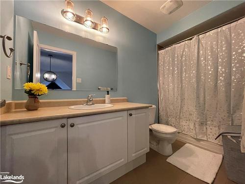 31 Hughes Street, Collingwood, ON - Indoor Photo Showing Bathroom