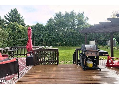 17 Mckean Boulevard, Nottawa, ON - Outdoor With Deck Patio Veranda