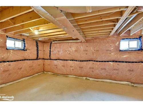 11 Spencer Street, Collingwood, ON - Indoor Photo Showing Basement