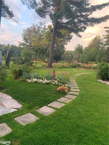 324 Bethune Drive N, Gravenhurst, ON - Outdoor With View