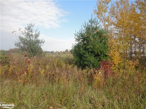 Lot 31 Mighton Court, Clearview, ON 