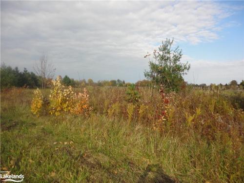 Lot 31 Mighton Court, Clearview, ON 