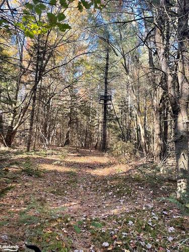 O Fraserburg Road, Bracebridge, ON 