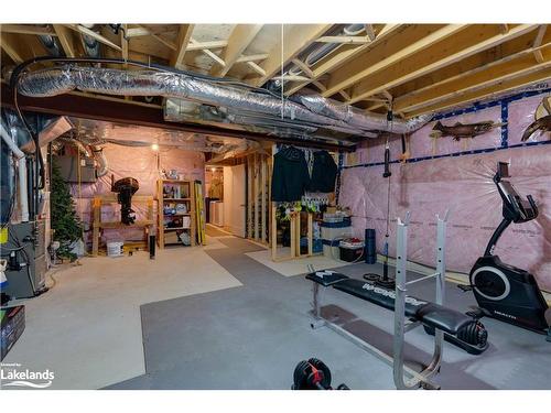 33 Nicole Park Court, Bracebridge, ON - Indoor Photo Showing Basement