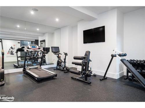 112 Stone Zack Lane, Clarksburg, ON - Indoor Photo Showing Gym Room