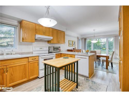 101 Greengable Way, Kitchener, ON - Indoor Photo Showing Kitchen With Double Sink