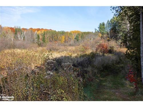 1236 Butter And Egg Road Road, Bracebridge, ON - Outdoor With View