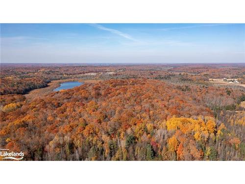 1236 Butter And Egg Road Road, Bracebridge, ON - Outdoor With View