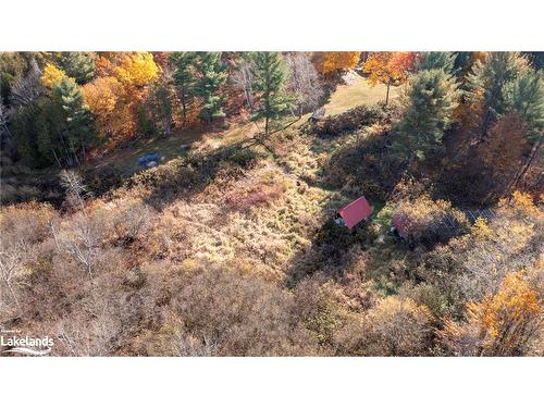 1236 Butter And Egg Road Road, Bracebridge, ON - Outdoor With View