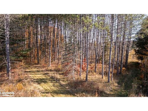 1236 Butter And Egg Road Road, Bracebridge, ON - Outdoor With View