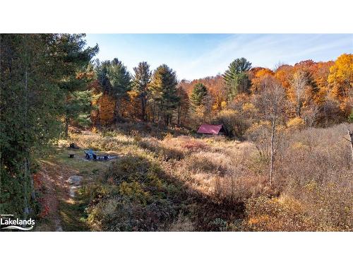 1236 Butter And Egg Road Road, Bracebridge, ON - Outdoor With View