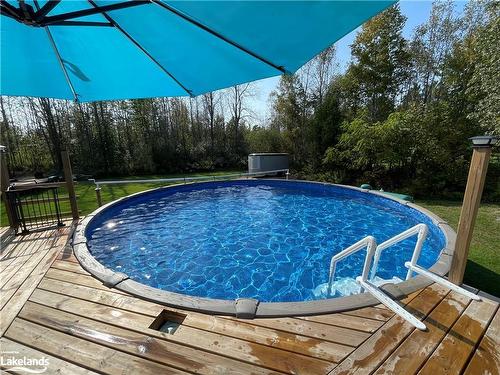 2066 Irish Line, Coldwater, ON - Outdoor With Above Ground Pool With Backyard