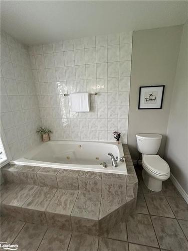 17 Trails End, Collingwood, ON - Indoor Photo Showing Bathroom