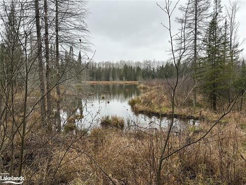 Lot 1 Hill And Gully Road, Burk'S Falls, ON 