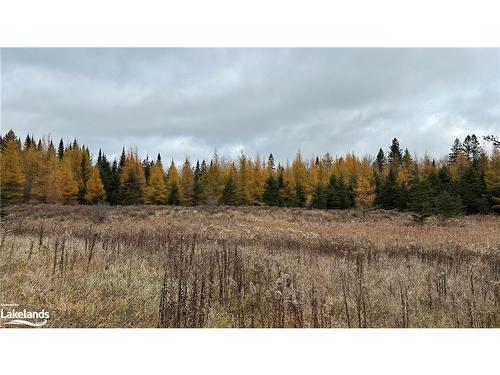 Lot 3 Hill And Gully Road, Burk'S Falls, ON 