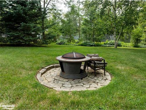 2 Evergreen Road, Collingwood, ON - Outdoor With Backyard