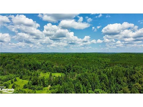 1060 Baker Side Road, Bracebridge, ON - Outdoor With View