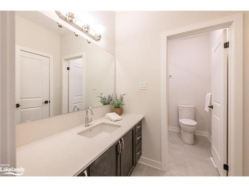 1009 Boyne Ridge Court, Lake Of Bays, ON - Indoor Photo Showing Bathroom