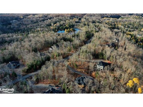 1009 Boyne Ridge Court, Lake Of Bays, ON - Outdoor With View