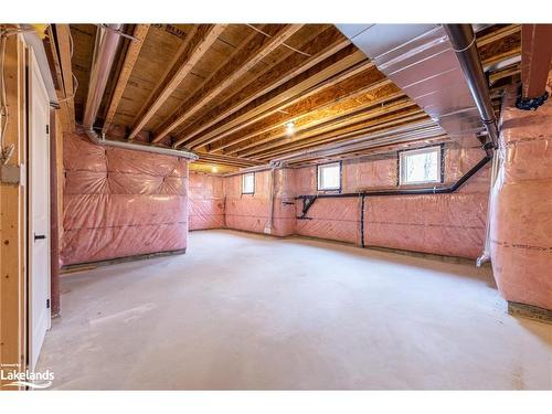 1009 Boyne Ridge Court, Lake Of Bays, ON - Indoor Photo Showing Basement