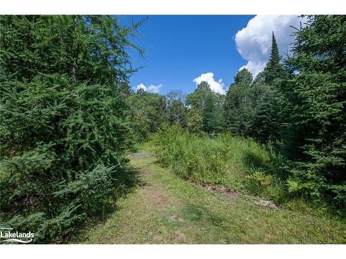 1009 Boyne Ridge Court, Lake Of Bays, ON - Outdoor