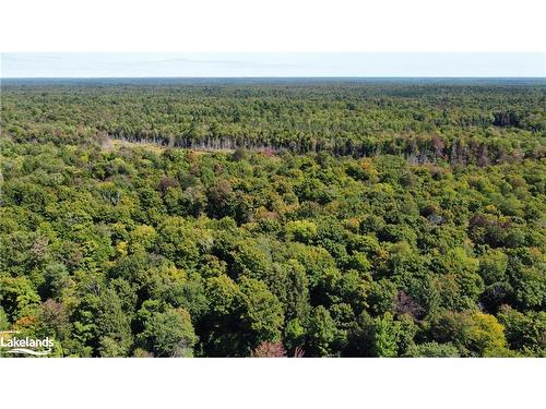 Lot 32 Concession 5, Bracebridge, ON 