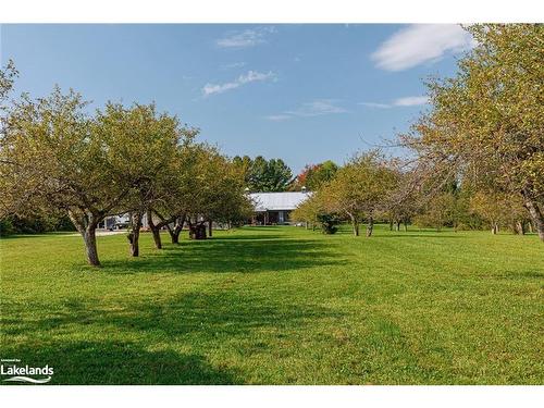 195 Centre Street, Meaford, ON - Outdoor With View