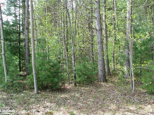 Con 1 W Pt Lot 9 Sunnidale Tosorontio Townline, Clearview, ON 