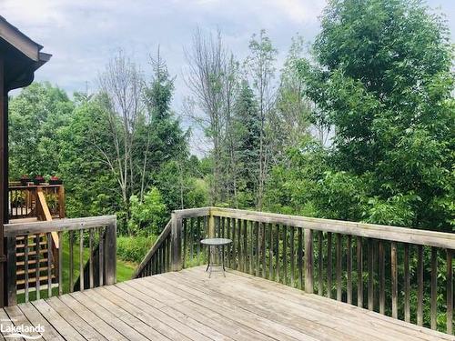 5 Sierra Trail, Collingwood, ON - Outdoor With Deck Patio Veranda