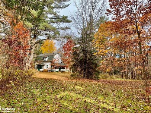 1627 Houseys Rapids Rd, Gravenhurst, ON - Outdoor